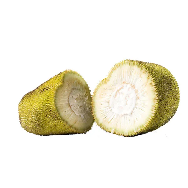 45511 diecast marketplace