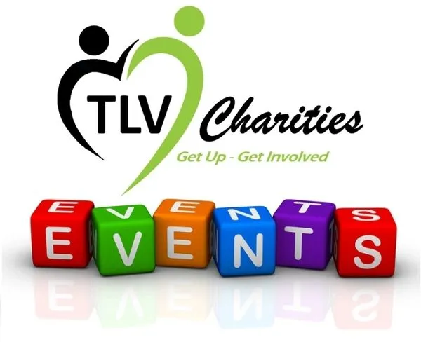 45586 tlv diecast materials