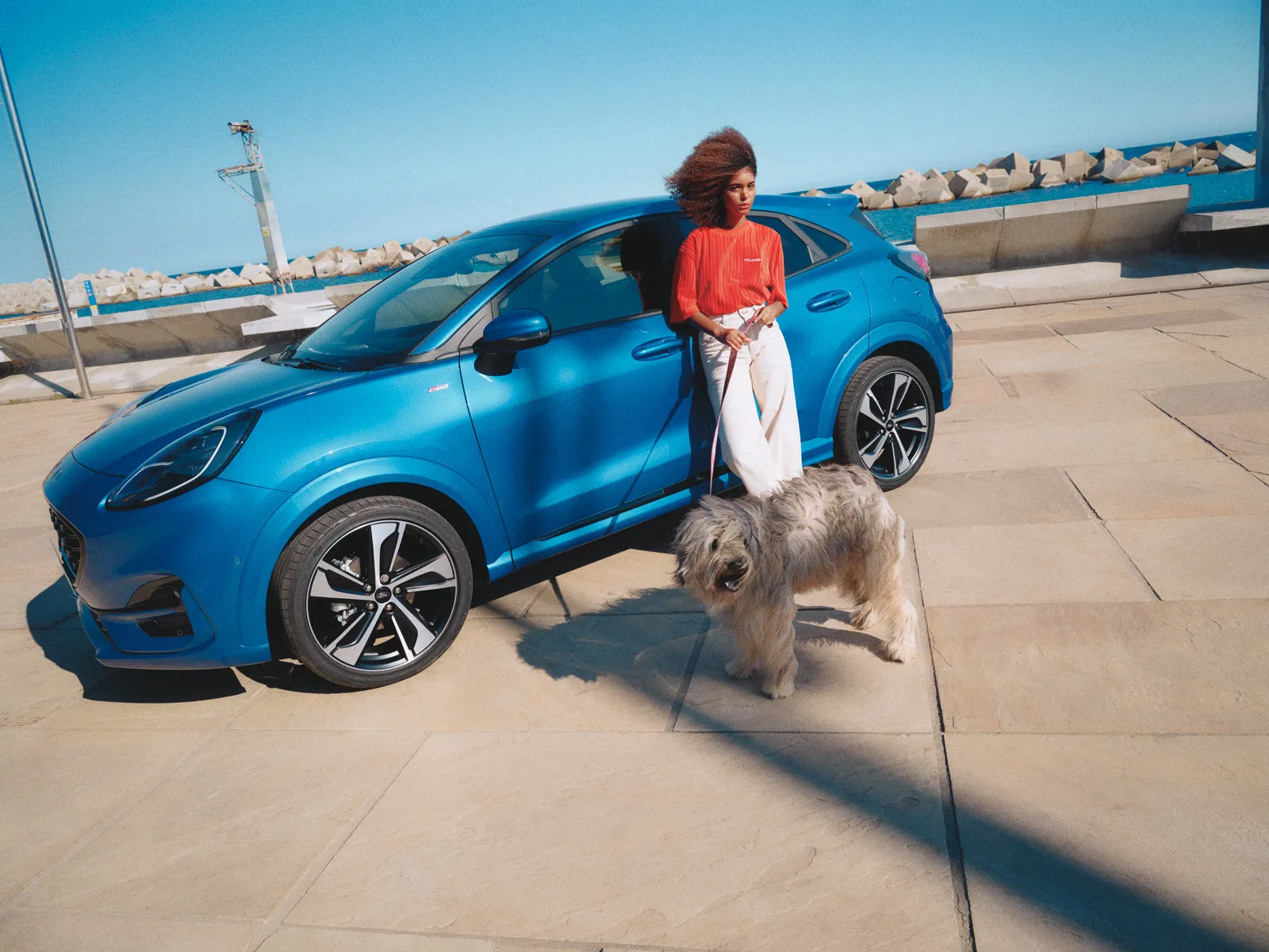 45628 diecast puma interior