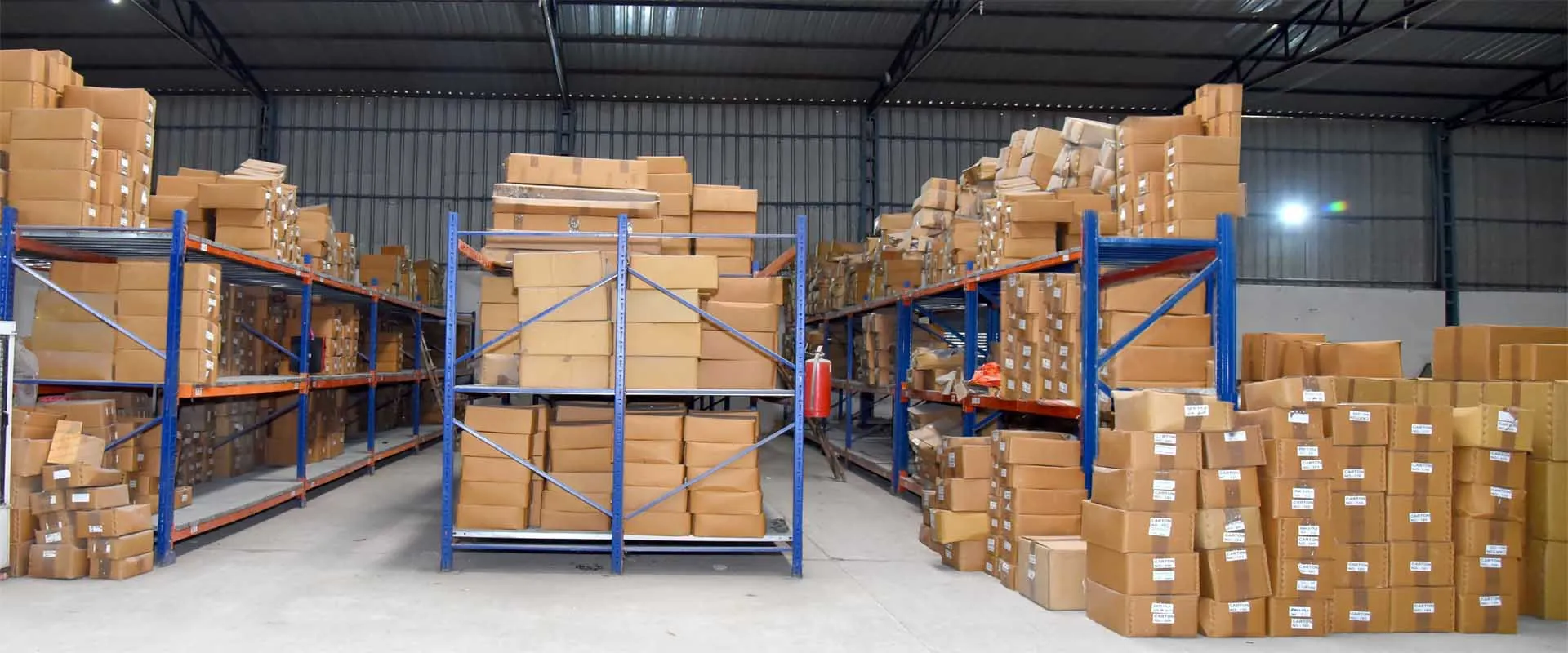 45647 asian market research